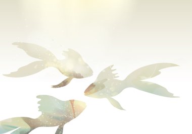 Üç goldfishes