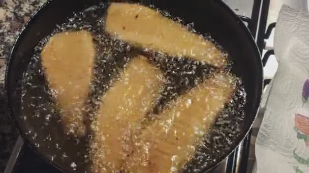 夕食のために家で魚のクランチをフライ — ストック動画