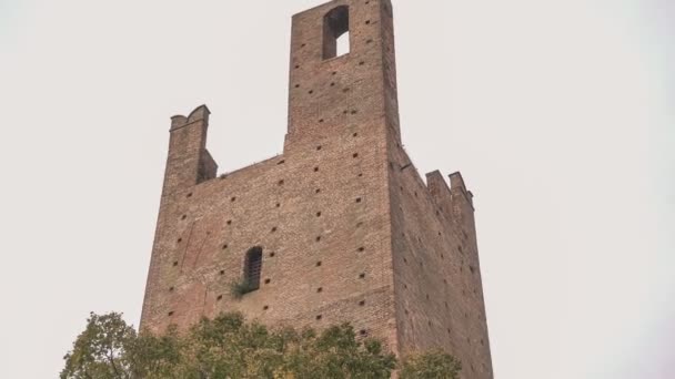 Башня Дона Башня Гримальди Две Древние Башни Ровиго Италия — стоковое видео