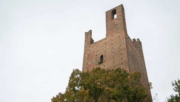 タワーとグリマルディ タワー イタリアのロビゴにある2つの古代の塔 — ストック写真