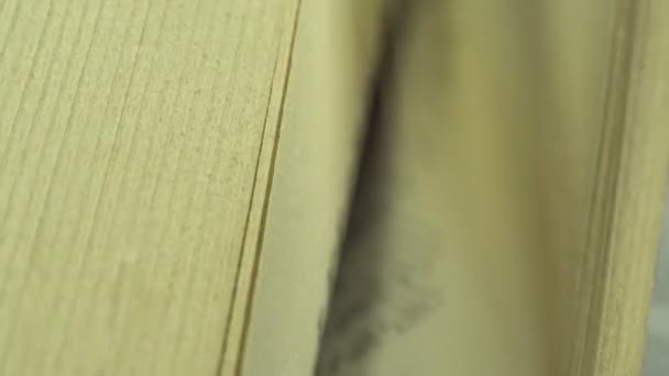 Flicking Old Book Pages Close Detalhe — Vídeo de Stock