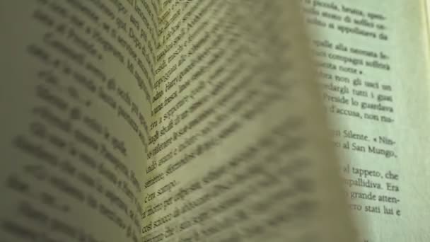 Flicking Old Book Pages Detalles Primer Plano — Vídeo de stock