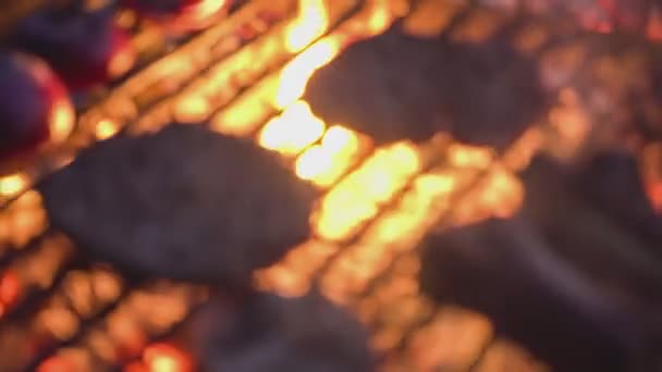 バーベキューグリッド 炎と煙の上に炭の火を燃焼にスパイスやハーブとジューシーな肉ステーキをローストのぼやけたイメージ ピクニックのお祝いの準備ができてグリルストライプとジューシーな肉 — ストック動画