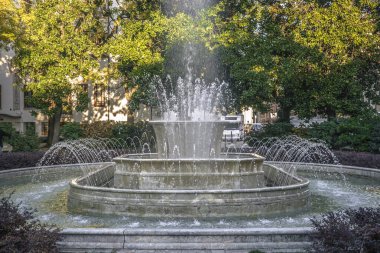 İtalya, Rovigo 'daki çeşme peyzajı. Eski mermer çeşme.