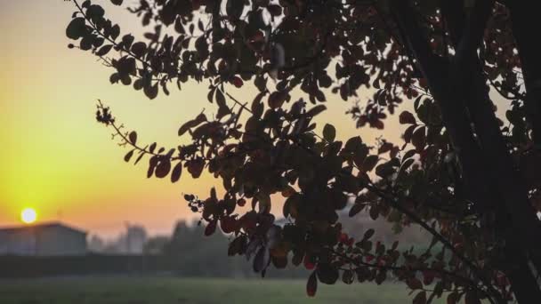 Coucher Soleil Automne Panorama Campagne Dans Nord Italie — Video