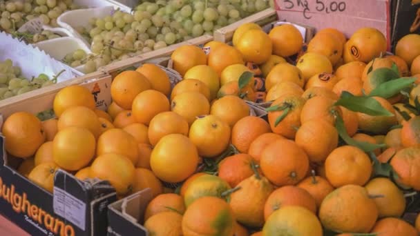 Rovigo Italia Octubre 2021 Detalle Caja Naranjas Mercado — Vídeo de stock