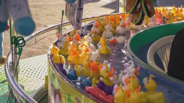 Rovigo Italy October 2021 Cool Rubber Duckies Running Arcade Hunting — Stock Video