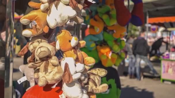 Rovi Talya Eki 2021 Eğlence Parkında Asılı Oyuncak Dolması Doldurulmuş — Stok video