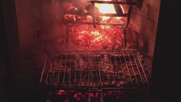 Вугілля Вогонь Сітка Подробиці Камін Вбирає Барбекю — стокове відео