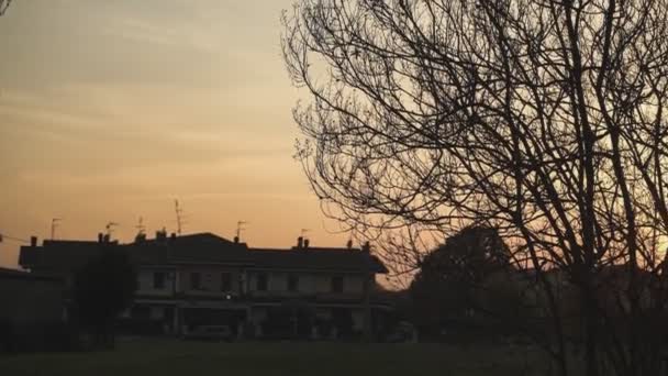 Country Countryside Sunset Bare Branches — Stock Video