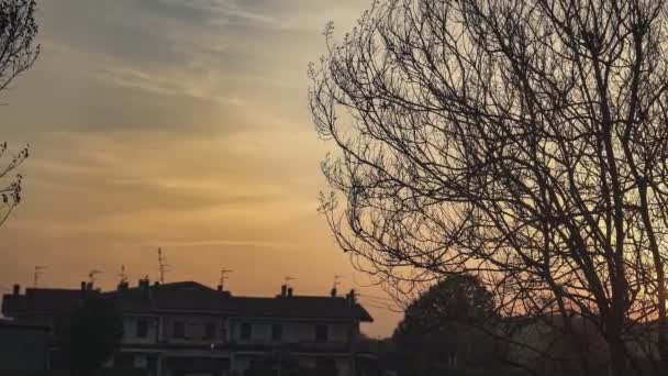乡村落日和光秃秃的枝条 — 图库视频影像