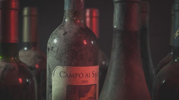 Milan Italien November 2021 Buteljering Vinprodukter Lagring Lagrade Flaskor Vinfabrik — Stockvideo
