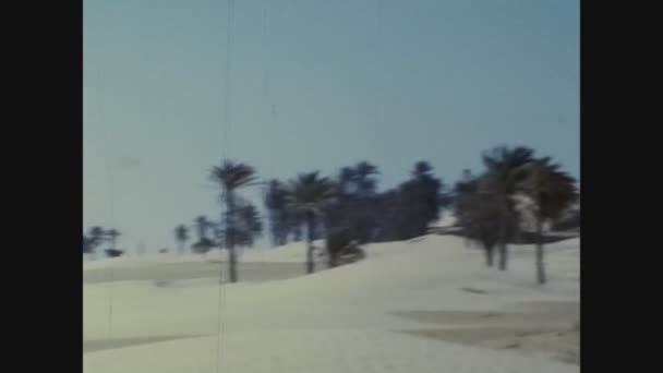 Casablanca Marruecos Junio 1977 Camellos Beduinos Desierto Marruecos Los Años — Vídeo de stock