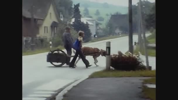 Rhine Falls 1972 할아버지와 아이가 마을에서 카트와 건너다 — 비디오