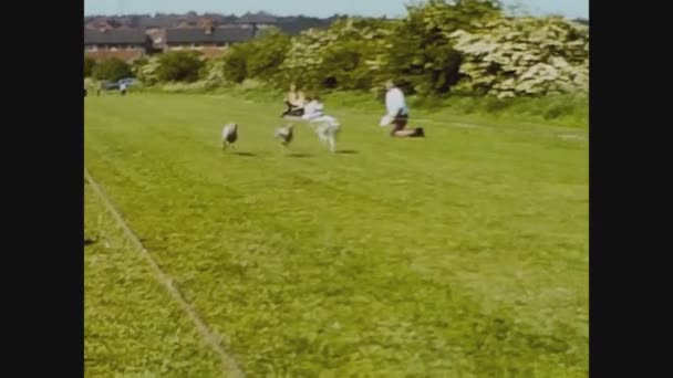 London United Kingdom June 1977 Dog Racing — Stockvideo