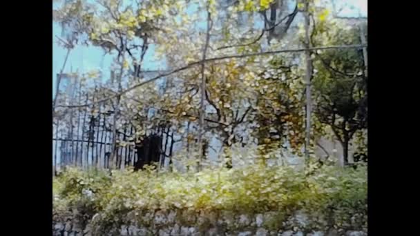 Naples Italy Hazi Ran 1964 Larda Talya Hurma Ağaçları — Stok video