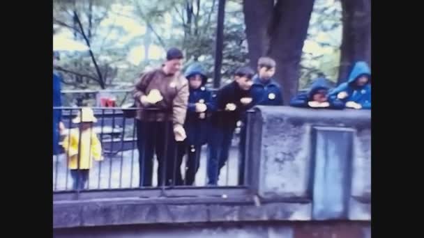 Zurich Švýcarsko Říjen 1969 Medvěd Hnědý Zoo Letech — Stock video