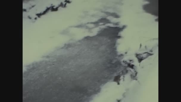 Scotland United Kingdom December 1968 Ice Snow Forest — стокове відео