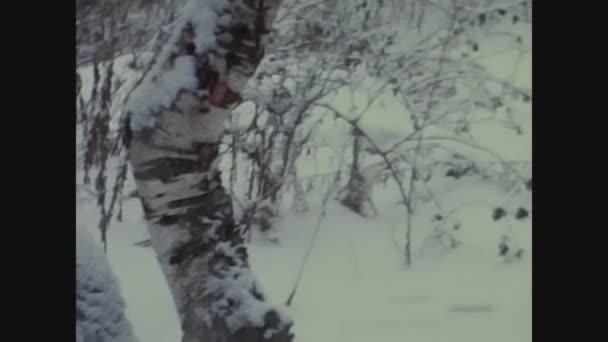 Escolandia Reino Unido Diciembre 1968 Bosque Nieve Hielo Los Años — Vídeo de stock