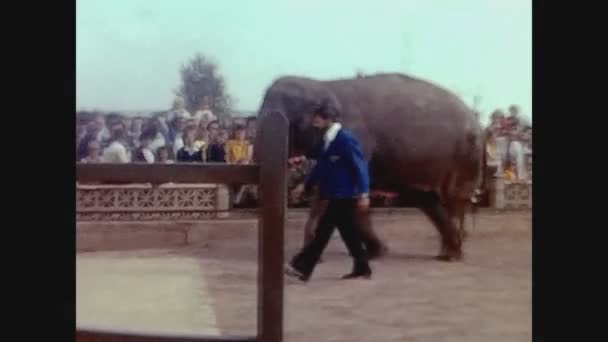 Twycross Reino Unido Maio 1960 Mostrar Com Elefante Nos Anos — Vídeo de Stock
