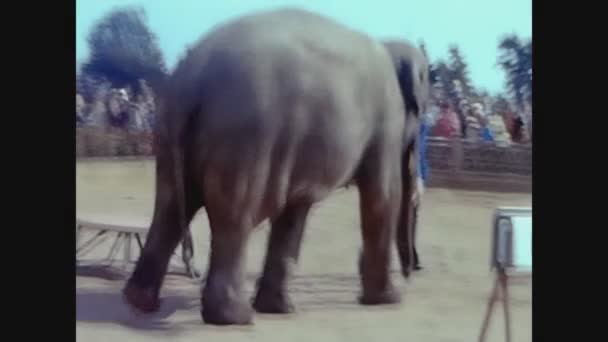 Twycross Royaume Uni Mai 1960 Spectacle Avec Éléphant Dans Les — Video