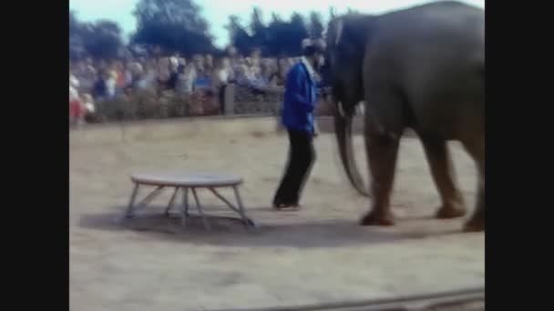 Twycross United Kingdom May 1960 Показать Слоном — стоковое видео