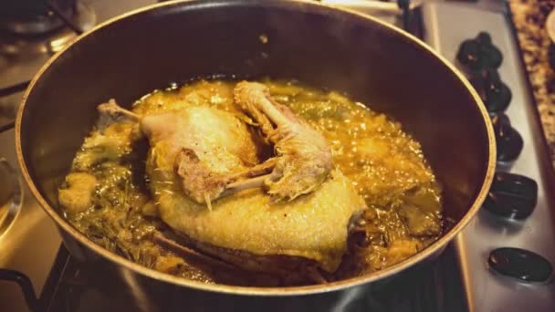 Pot Roasted Chicken Boils Detail — стоковое видео
