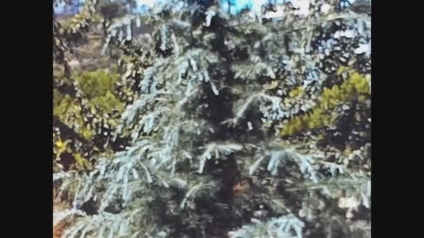 Pavia Talya Haziran 1960 Larda Bahçedeki Ağaçlar — Stok video