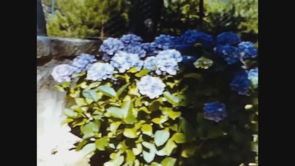 Pavia Italia Junio 1960 Flores Jardín Los Años — Vídeos de Stock