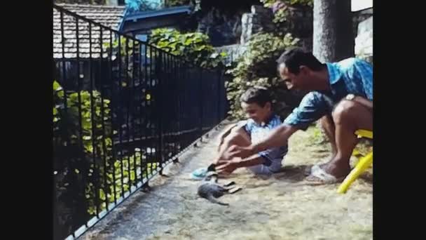 Como Ιταλια Μάιος 1983 Παιδί Αγκαλιάζει Γάτα Στον Κήπο Δεκαετία — Αρχείο Βίντεο