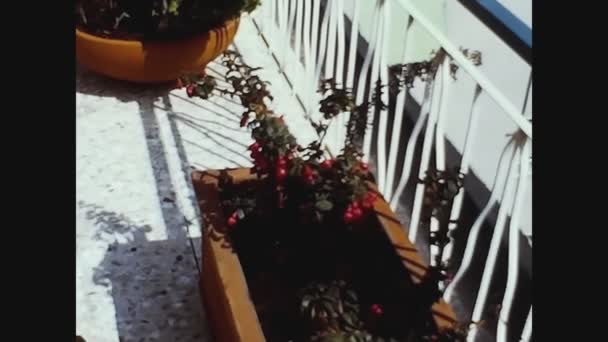 Pavia Talya Hazi Ran 1960 Larda Çiçek Saksı Detayı — Stok video