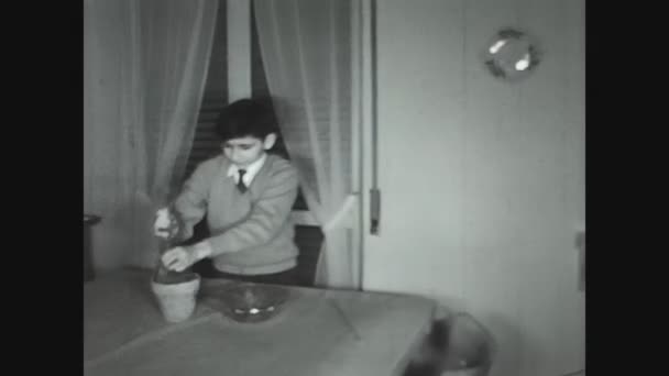 Como Italië Mei 1960 Zet Een Zaailing Pot Jaren — Stockvideo