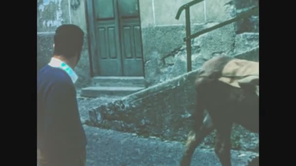 Schignano Włochy Czerwiec 1963 Sceny Codziennego Życia Włoskiej Wioski Latach — Wideo stockowe
