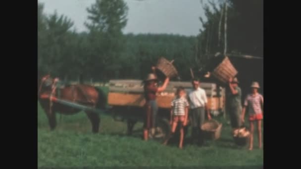 Villastrada Italien Juni 1963 Bauernleben Einer Italienischen Familie Den 1960Er — Stockvideo