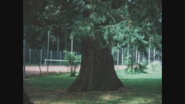 Lugano Switness Zerland Haziran 1968 Larda Büyük Ağaç Gövdesi Detayı — Stok video