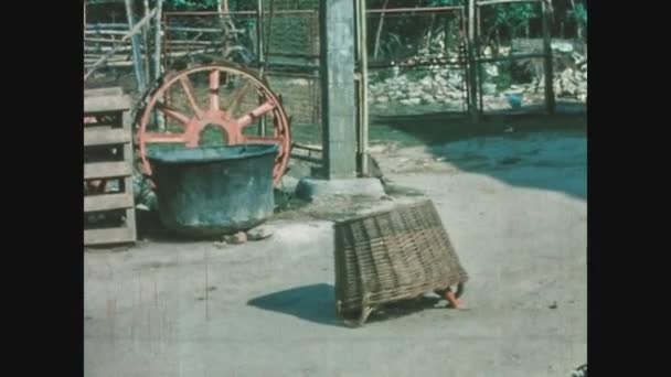 Schignano Italijuni 1963 Fattiga Barn Leker Kurragömma Landsbygden Italien 1960 — Stockvideo