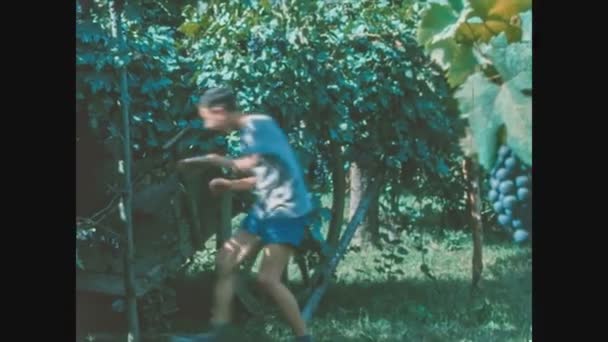 1963年6月16日 意大利 希纳诺 60年代的时候 孩子们在葡萄园里尝了一串葡萄 — 图库视频影像