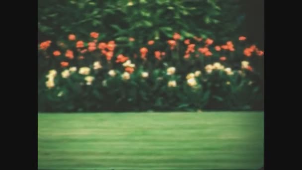 意大利 凡尔班尼亚 1970年5月 塔兰托别墅花园 70年代意大利Maggiore湖附近宏伟的植物园 — 图库视频影像