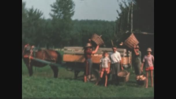 Villastrada Italia Giugno 1963 Vita Contadina Una Famiglia Italiana Negli — Video Stock