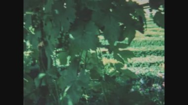 Chenonceaux, Fransa 1970: Chenonceau Castle Park 70 'lerde