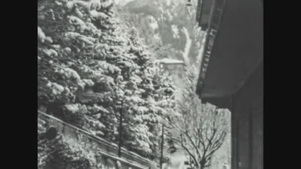 Dolomites Itálie January 1964 Sněhem Pokryté Borovice Detail 60S — Stock video