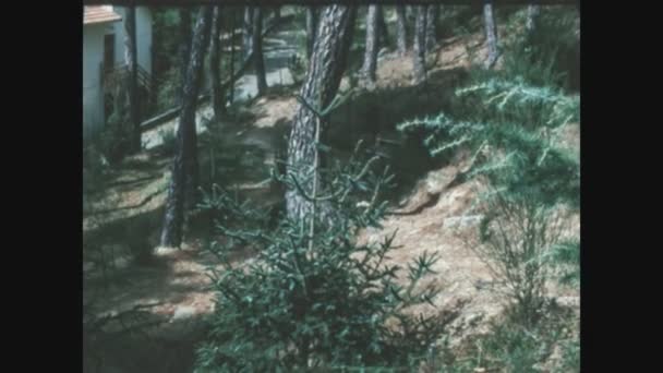 Como Włochy Maj 1963 Sosny Ogrodzie Latach Tych — Wideo stockowe