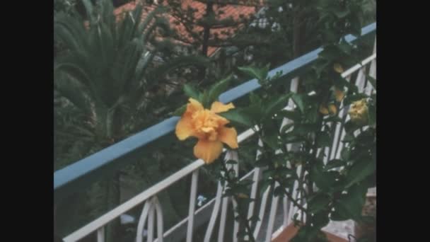 Sanremo Italia Maggio 1982 Vasi Fiori Decorativi Anni — Video Stock