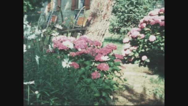 Pavia イタリア1965年5月 60年代春の開花庭 — ストック動画