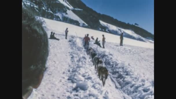 Dolomiti Italia Dicembre 1975 Cane Slitta Sulla Neve Negli Anni — Video Stock