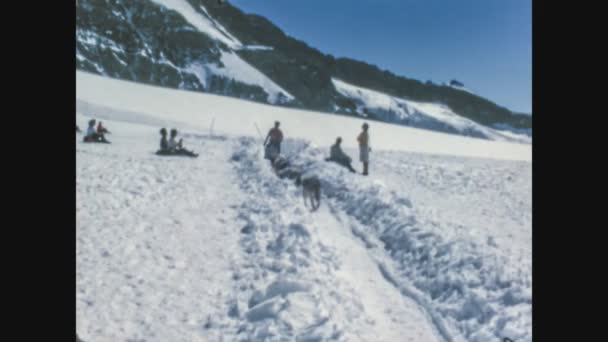 Dolomites Italie Décembre 1975 Traîneau Chien Dans Neige Dans Les — Video