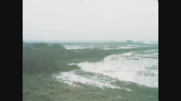 Italien 1970S Reisfelder Italien Den 70Er Jahren — Stockvideo