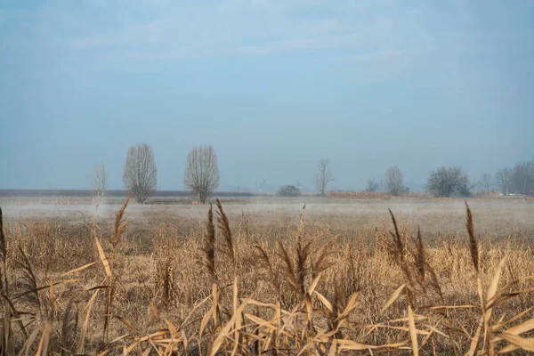 冬の時間に霧の日に田舎のパノラマ — ストック写真