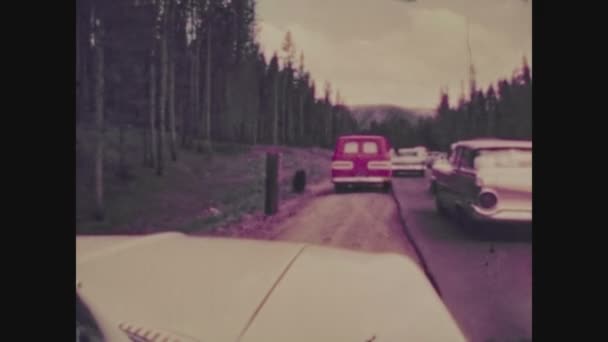 California Estados Unidos Junho 1962 Urso Entre Carros Trânsito Ursos — Vídeo de Stock