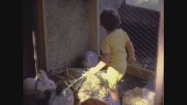 Palermo Włochy Czerwca 1966 Dzieci Wsi Zwierzęta Gospodarskie Kurczak Królik — Wideo stockowe
